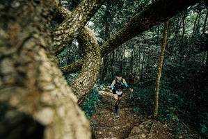 BIB: 
                            <button type="button" onclick="openModal(25704435)" class="btn btn-primary btn-sm float-right btn-popup" data-toggle="modal" data-target=".modal-high-quality">
                        <i class="fas fa-shopping-cart"></i> Add to Cart
                    </button>
                                            <button type="button" onclick="isThisMe(25704435, true)" class="btn btn-success btn-sm float-right btn-popup btn-isme hidden" data-toggle="tooltip" data-placement="bottom" title="นี่คือรูปของคุณใช่ไหม คลิกที่นี่เพื่อเอาเข้าอัลบั้ม">
                        <i class="fas fa-plus"></i> Add to album
                    </button>
                    <button type="button" onclick="isThisMe(25704435, false)" class="btn btn-warning btn-sm float-right btn-popup btn-isnotme hidden">
                        <i class="fas fa-ban"></i> Remove from album
                    </button>